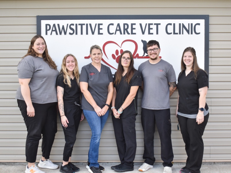 Pawsitive Care Veterinary Team