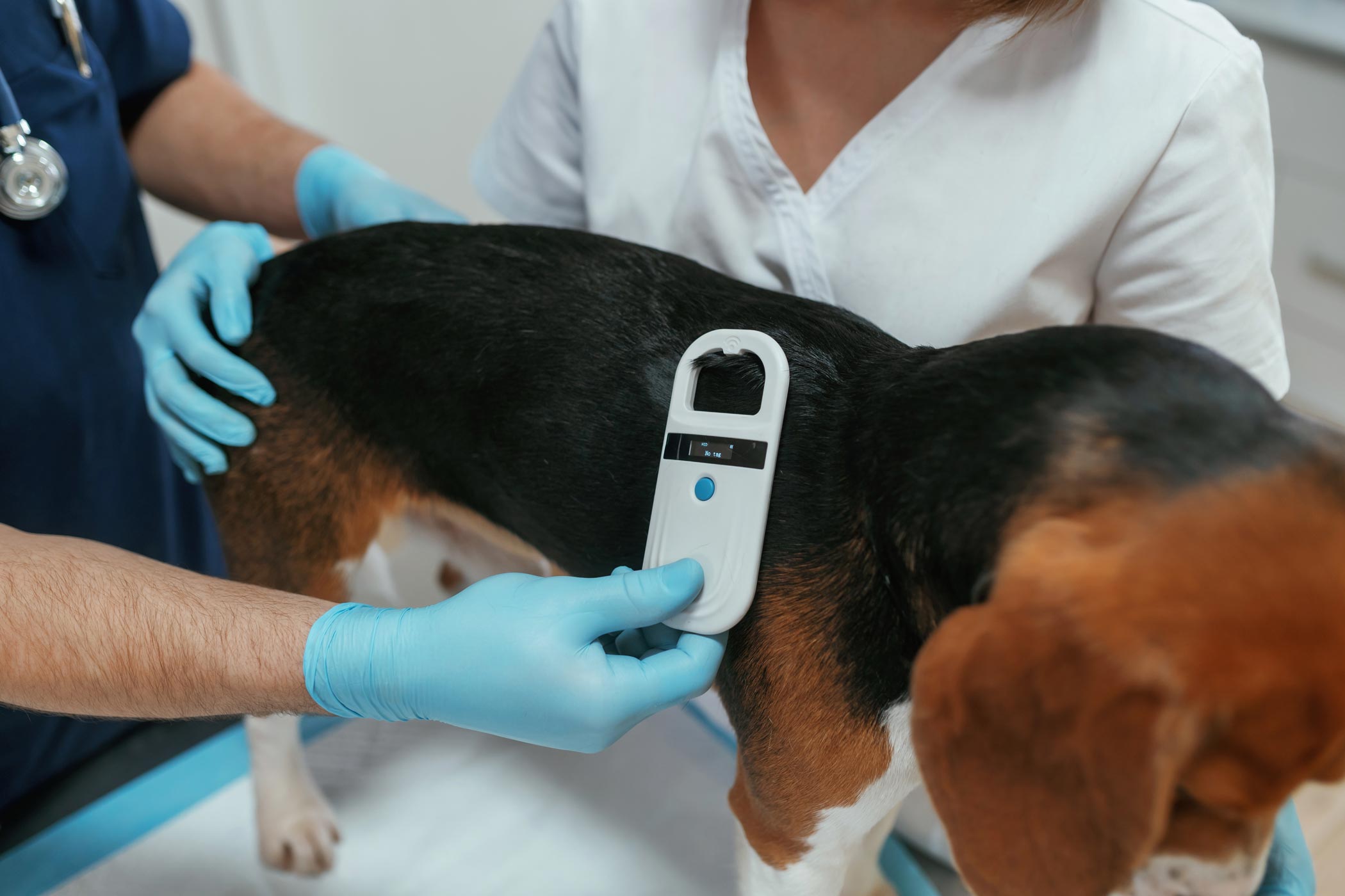 Permanent ID with Pet Microchips